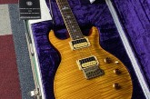 PRS Private Stock Limited Edition Howard Leese Golden Eagle-14.jpg